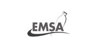 logo emsa